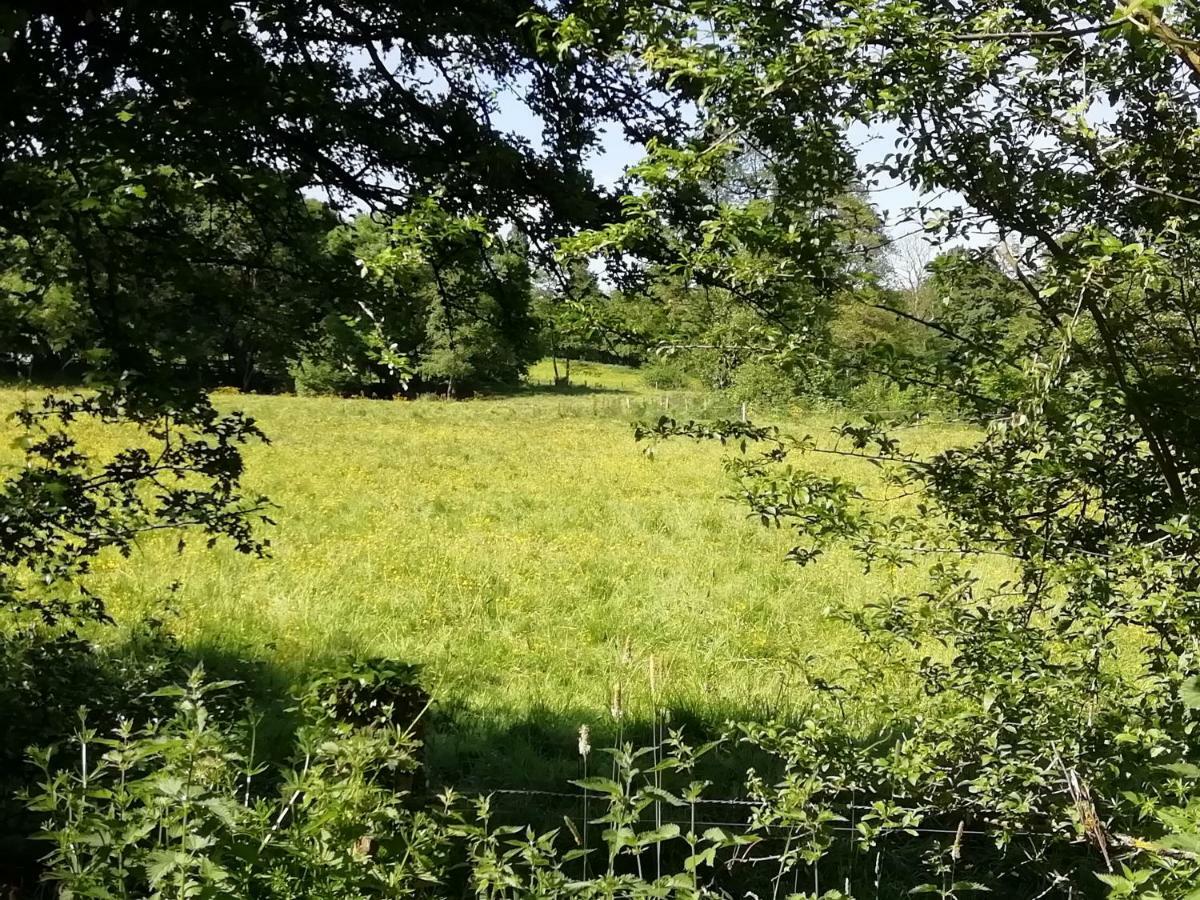 Gite Le Moulin Saint-Vaast-sur-Seulles Екстериор снимка